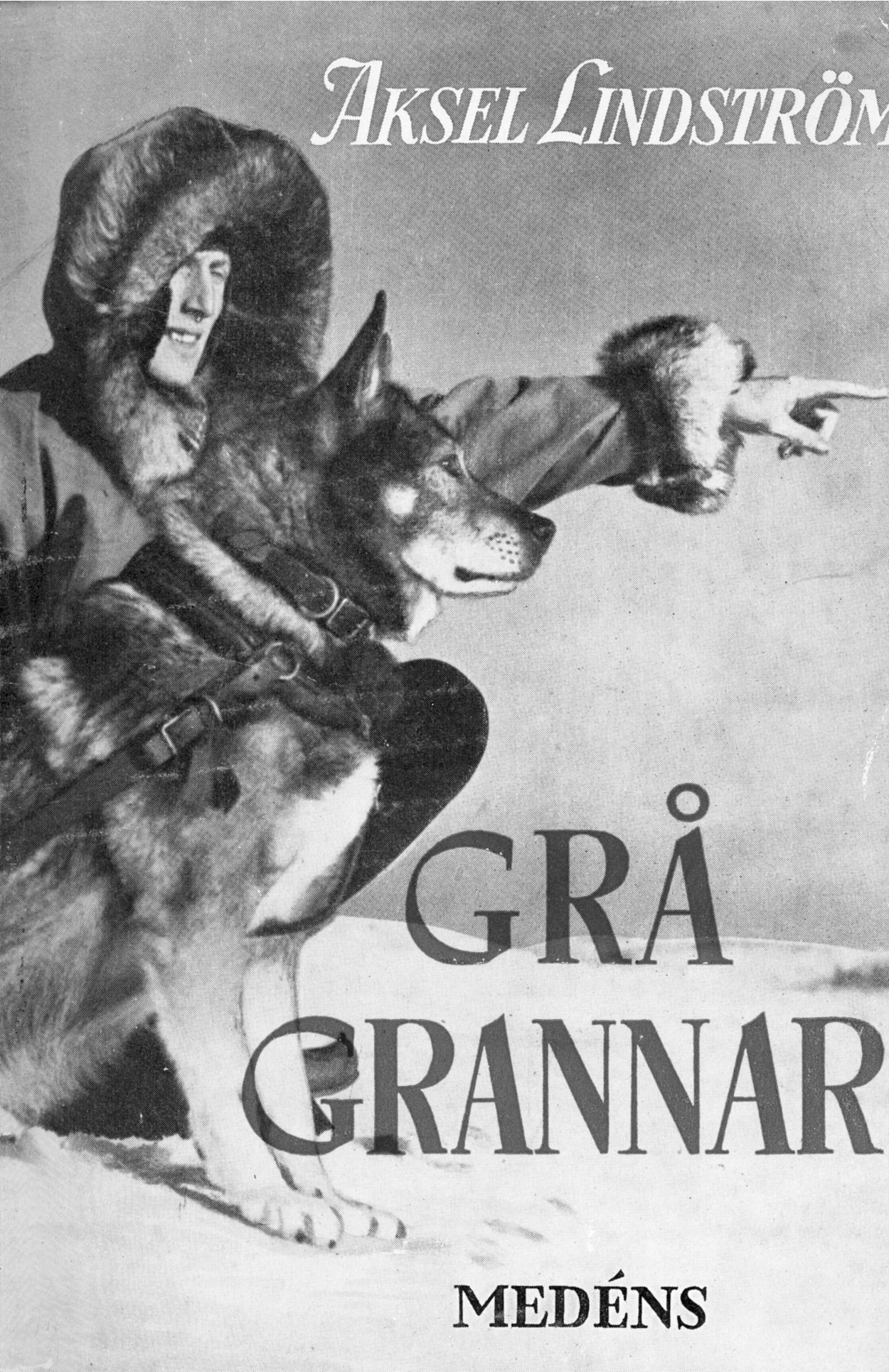 Omslag till Grå grannar